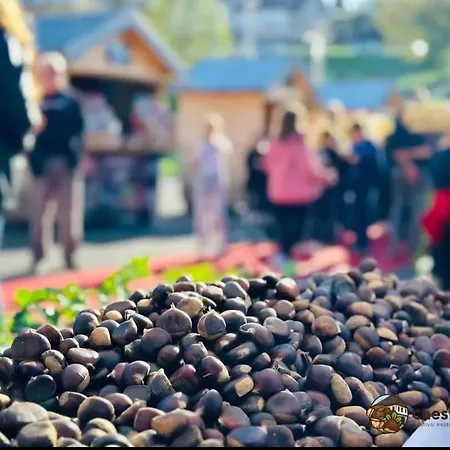 Srce Cazina * Cazin