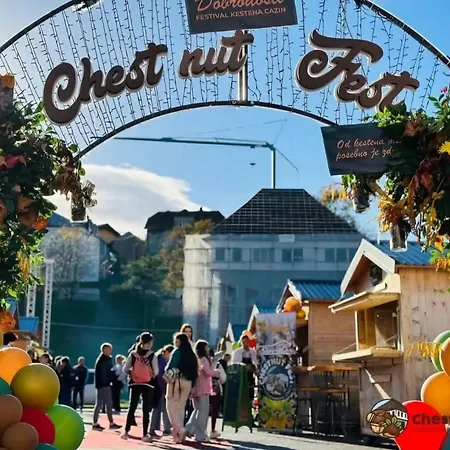 Apartment Srce Cazina